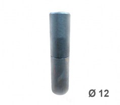 petli-12